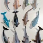 Animales marinos chicos