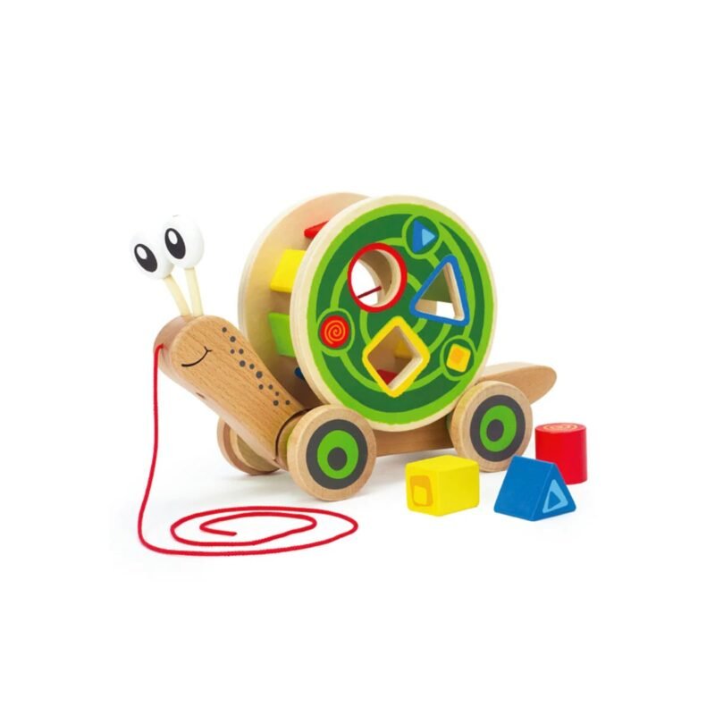 caracol1
